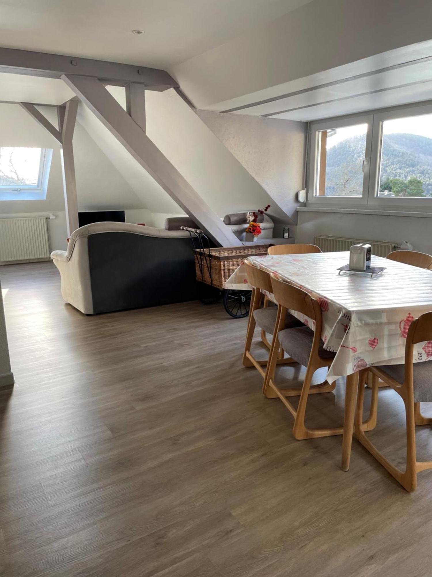 Gite Spacieux, Lumineux Et Tres Cosy Lautenbach Kültér fotó